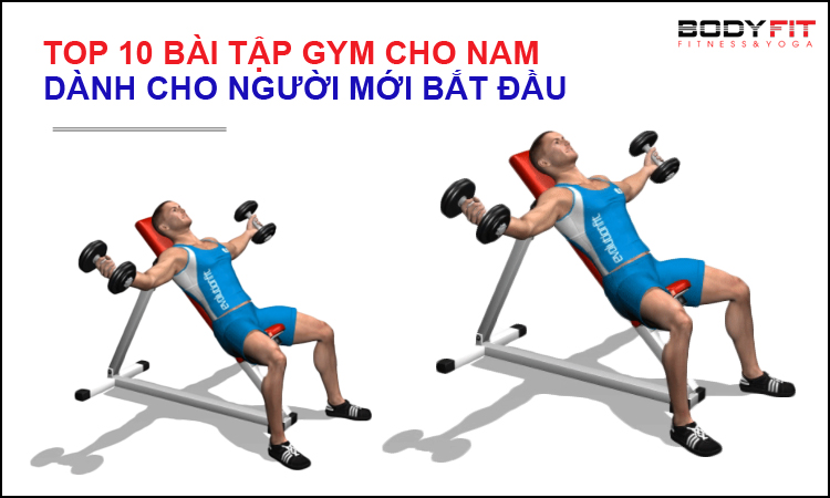 10 bài tập gym cho nam mới tập